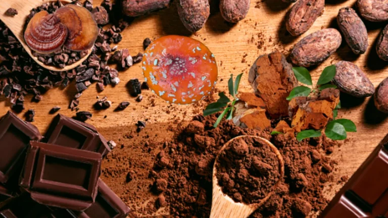How do you find the best quality psychedelic chocolate?